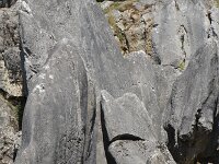 B, Namur, Viroinval, Fondry des Chiens 35, Saxifraga-Willem van Kruijsbergen