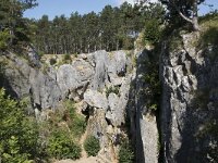 B, Namur, Viroinval, Fondry des Chiens 37, Saxifraga-Willem van Kruijsbergen