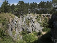 B, Namur, Viroinval, Fondry des Chiens 40, Saxifraga-Willem van Kruijsbergen