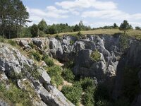 B, Namur, Viroinval, Fondry des Chiens 41, Saxifraga-Willem van Kruijsbergen