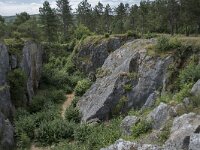 B, Namur, Viroinval, Fondry des Chiens 44, Saxifraga-Willem van Kruijsbergen