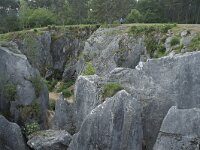 B, Namur, Viroinval, Fondry des Chiens 8, Saxifraga-Willem van Kruijsbergen