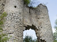 B, Namur, Viroinval, La Haute Roche 10, Saxifraga-Willem van Kruijsbergen