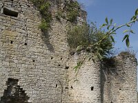 B, Namur, Viroinval, La Haute Roche 14, Saxifraga-Willem van Kruijsbergen