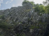 B, Namur, Viroinval, La Haute Roche 2, Saxifraga-Willem van Kruijsbergen