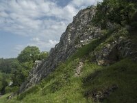 B, Namur, Viroinval, La Haute Roche 4, Saxifraga-Willem van Kruijsbergen