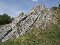 B, Namur, Viroinval, La Haute Roche 7, Saxifraga-Willem van Kruijsbergen