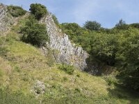 B, Namur, Viroinval, La Haute Roche 8, Saxifraga-Willem van Kruijsbergen