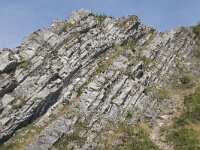 B, Namur, Viroinval, La Haute Roche 9, Saxifraga-Willem van Kruijsbergen