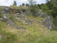 B, Namur, Viroinval, La Roche Trouee 1, Saxifraga-Willem van Kruijsbergen