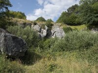 B, Namur, Viroinval, La Roche Trouee 4, Saxifraga-Willem van Kruijsbergen