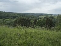 B, Namur, Viroinval, Roche Babelet 2, Saxifraga-Willem van Kruijsbergen