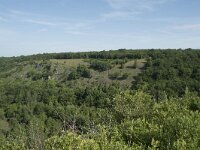 B, Namur, Viroinval, Tienne aux Pauquis 2, Saxifraga-Willem van Kruijsbergen