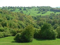 CZ, Hodonin, Bile Karpaty, Javornik, Jazevci 4, Saxifraga-Jan  Willem Jongepier