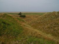 DK, Syddanmark, Esbjerg, Mando 10, Saxifraga-Foto Fitis- Sytske Dijksen