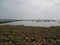 DK, Syddanmark, Esbjerg, Mando 6, Foto Fitis-Sytske Dijksen