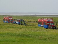 DK, Syddanmark, Esbjerg, Mando 9, Saxifraga-Foto Fitis-Sytske Dijksen