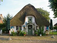 DK, Syddanmark, Tonder, Mobeltonder 1, Saxifraga-Foto Fitis-Sytske Dijksen