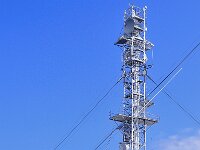 F, Gard, Valleraugue, Esperou 2, Saxifraga Elisabeth Raboin