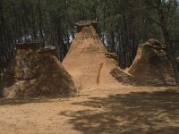 F, Vaucluse, Bedoin, les Demoiselles Coiffees 3, Saxifraga-Willem van Kruijsbergen