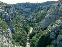 F, Vaucluse, Cheval-Blanc, Vallon Galere 1, Saxifraga-Jan van der Straaten
