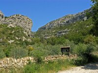 F, Vaucluse, Fontaine-de-Vaucluse 13, Saxifraga-Hans Dekker