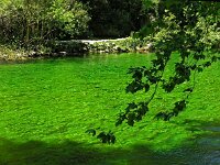 F, Vaucluse, Fontaine-de-Vaucluse 5, Saxifraga-Hans Dekker