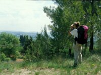 F, Vaucluse, Saint-Saturnin-les-Apt 4, Saxifraga-Jan van der Straaten