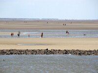 D, Niedersachsen, Cuxhaven, Elbe 7, Saxifraga-Foto Fitis-Sytske Dijksen