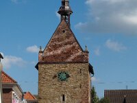 D, Niedersachsen, Fuerstenau 3, Saxifraga-Hans Dekker