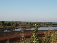D, Niedersachsen, Twist, Naturpark Moor 2, Saxifraga-Hans Dekker