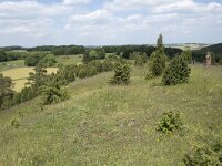 D, Nordrhein-Westfalen, Blankenheim, Alendorf, Kalvarienberg 5, Saxifraga-Willem van Kruijsbergen