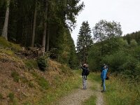 D, Nordrhein-Westfalen, Monschau, Perlenbachtal 1, Saxifraga-Foto Fitis-Sytske Dijksen