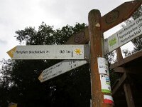 D, Nordrhein-Westfalen, Monschau, Perlenbachtal 3, Saxifraga-Foto Fitis-Sytske Dijksen