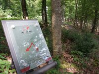 D, Rheiland-Pfalz, Cochem, Apolloweg 2, Saxifraga-Foto Fitis-Sytske Dijksen