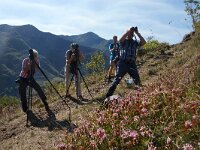 D, Rheinland-Pfalz, Cochem 10, Saxifraga-Foto Fitis-Sytske Dijksen