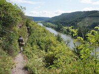 D, Rheinland-Pfalz, Cochem 12, Saxifraga-Foto Fitis-Sytske Dijksen