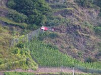 D, Rheinland-Pfalz, Cochem 2, Saxifraga-Foto Fitis-Sytske Dijksen