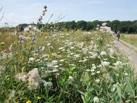 D, Rheinland-Pfalz, Cochem 9, Saxifraga-Foto Fitis-Sytske Dijksen
