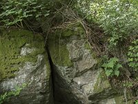 D, Rheinland-Pfalz, Gerolstein, Drachenhohle 1, Saxifraga-Willem van Kruijsbergen