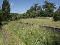 D, Rheinland-Pfalz, Gerolstein, Galloromischer Tempelbezirk 1, Saxifraga-Willem van Kruijsbergen