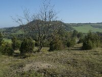 D, Rheinland-Pfalz, Gerolstein, Gees 3, Saxifraga-Willem van Kruijsbergen