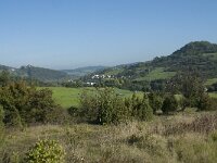 D, Rheinland-Pfalz, Gerolstein, Gees 5, Saxifraga-Willem van Kruijsbergen