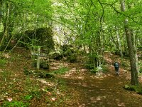 D, Rheinland-Pfalz, Gerolstein, Gerolsteiner Dolomiten 1, Saxifraga-Tom Heijnen