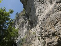 D, Rheinland-Pfalz, Gerolstein, Hustley 1, Saxifraga-Willem van Kruijsbergen