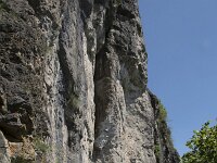 D, Rheinland-Pfalz, Gerolstein, Hustley 2, Saxifraga-Willem van Kruijsbergen