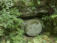 D, Rheinland-Pfalz, Gerolstein, Muhlsteinhohle 1, Saxifraga-Willem van Kruijsbergen