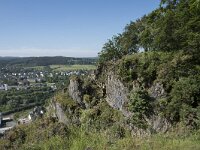 D, Rheinland-Pfalz, Gerolstein, Munterley 6, Saxifraga-Willem van Kruijsbergen