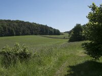 D, Rheinland-Pfalz, Gerolstein, Papenkaule 1, Saxifraga-Willem van Kruijsbergen