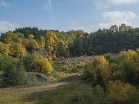 D, Rheinland-Pfalz, Gerolstein, Rockskyll 17, Saxifraga-Willem van Kruijsbergen